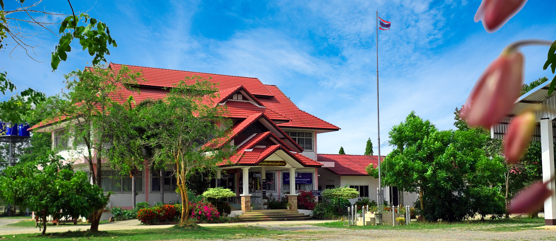 องค์การบริหารส่วนตำบลน้ำแวน