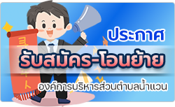 องค์การบริหารส่วนตำบลน้ำแวน